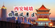 鸡巴操逼欧美大射逼中国陕西-西安城墙旅游风景区